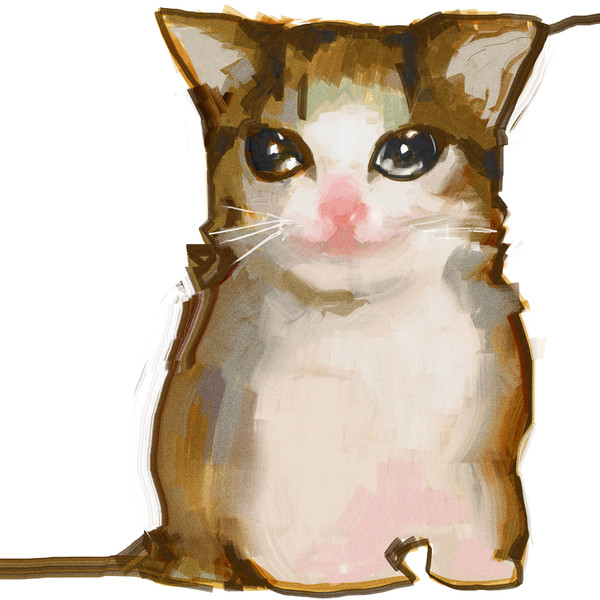 crying kitty