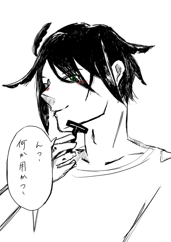 髭剃りアラシヤマ