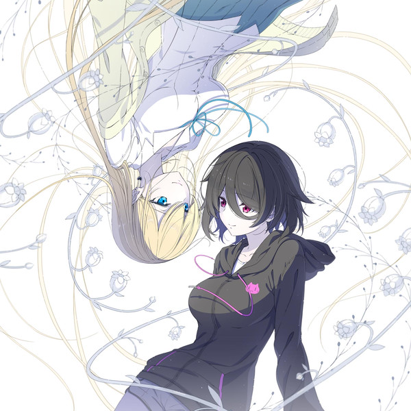 everlasting flowers