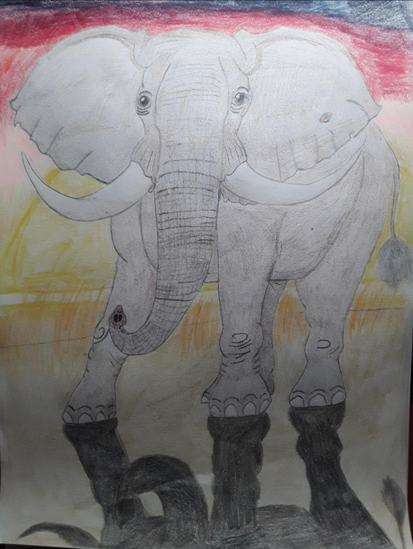 African bush elephant