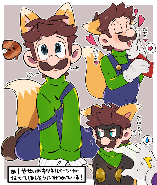なでてほしいキツネルイージ