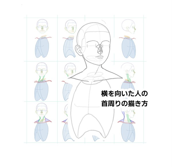 横を向いた時の首周り描き方