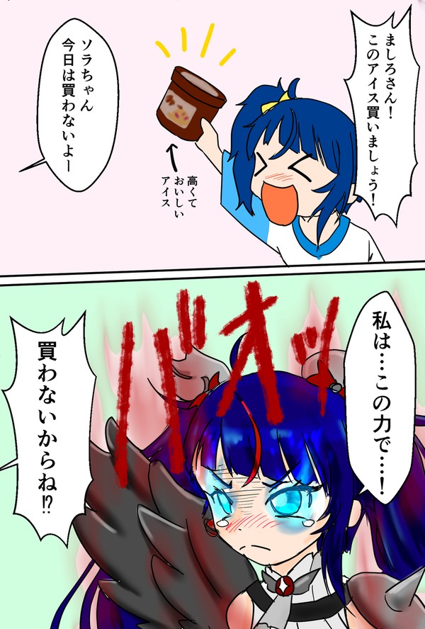 ダークスカイさんお買い物
