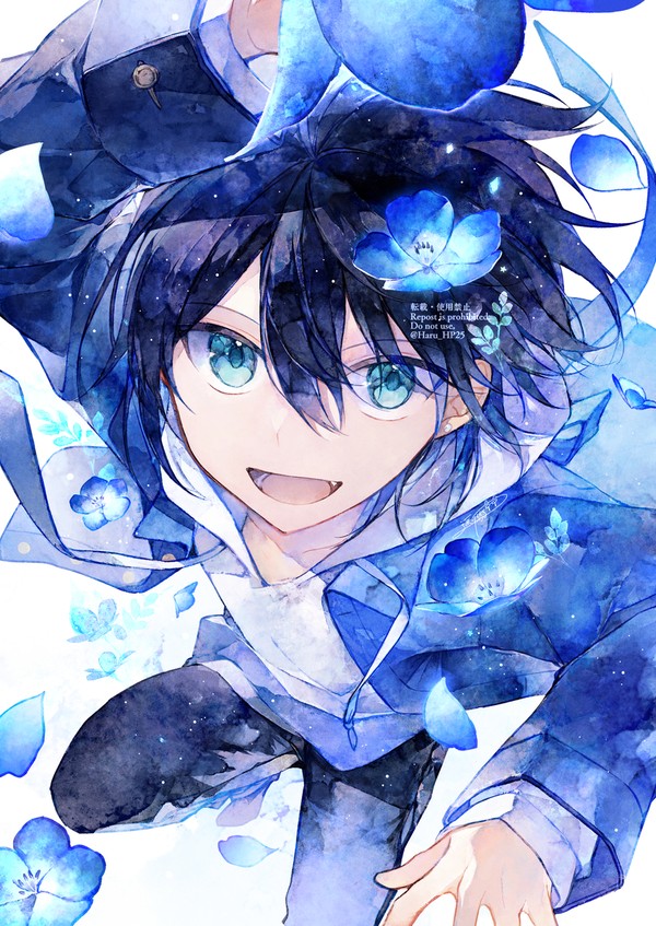 青の魔法