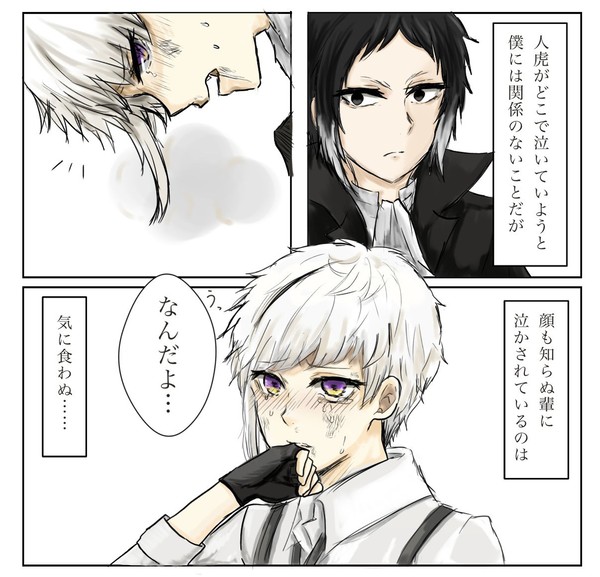 芥敦