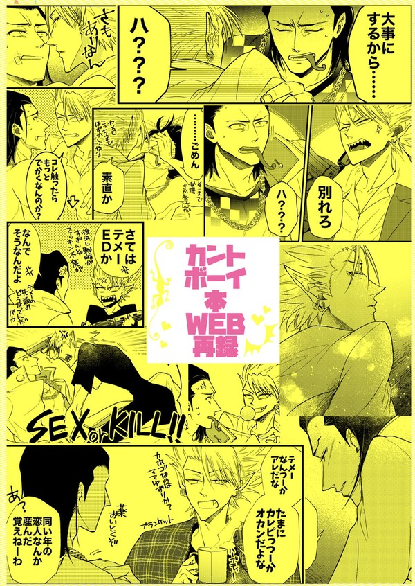 【ルイヒル】カントボーイ本web再録＋通販お知らせ