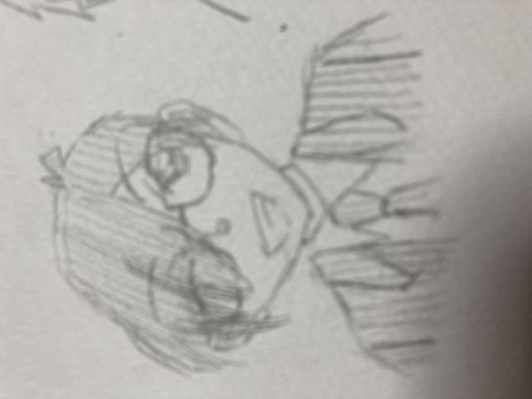 描きたかったやつ(横画面になってます)