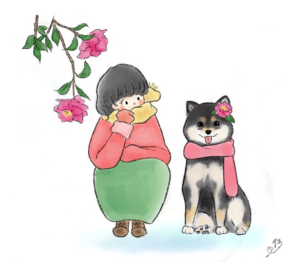 サザンカ