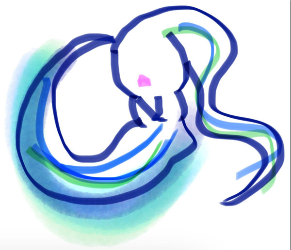 iPadで描いたイラストたち