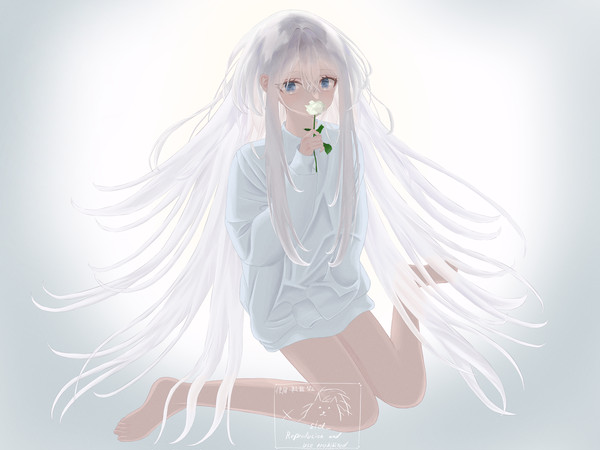 白い薔薇