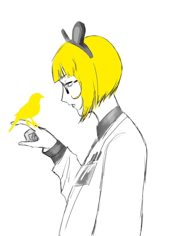 カナリア