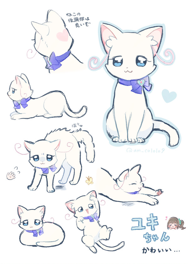 気になる猫ちゃん