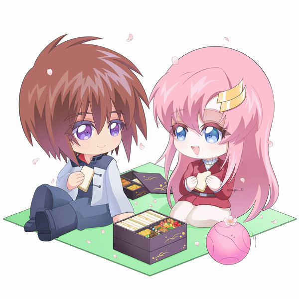 🥪🌸🧺