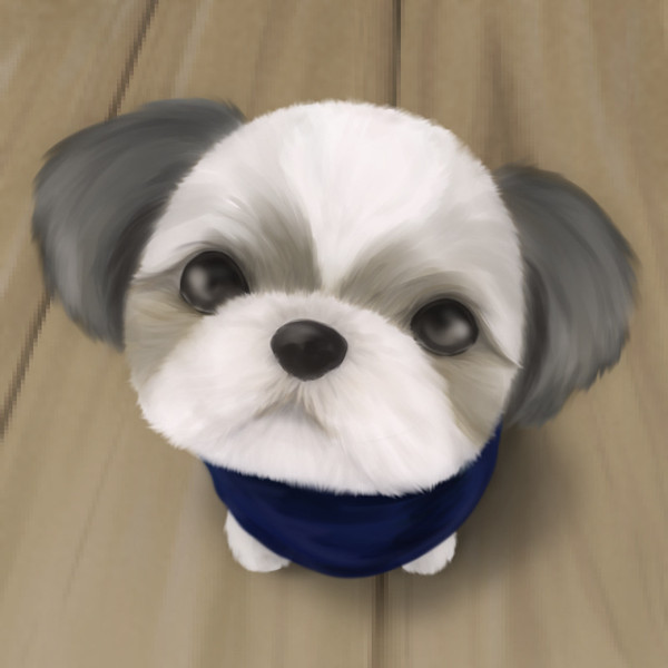 しーずー