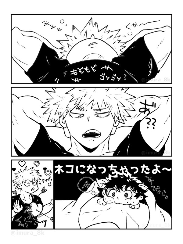 ˗ˏˋ 🐱の日 ˎˊ˗