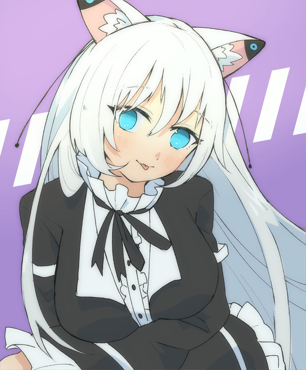 のらきゃっと