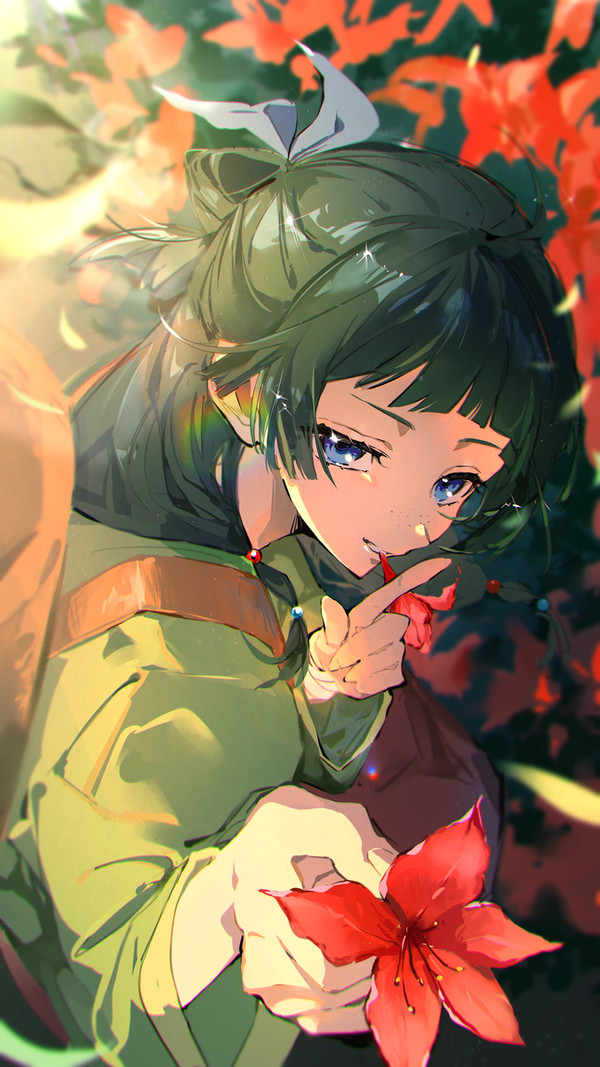 猫猫 - 1/1