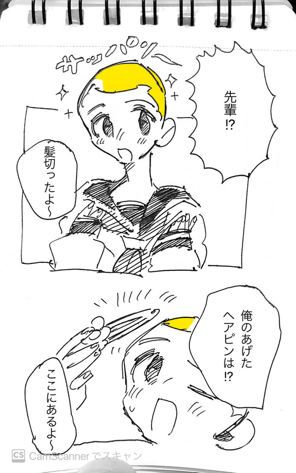 ヘアピン付けられない先輩