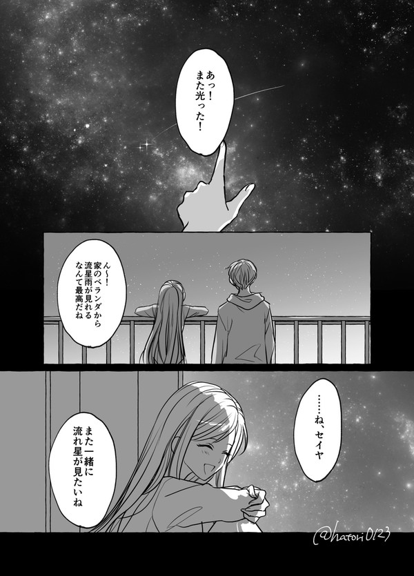 【恋と深空】流星（セイ主）