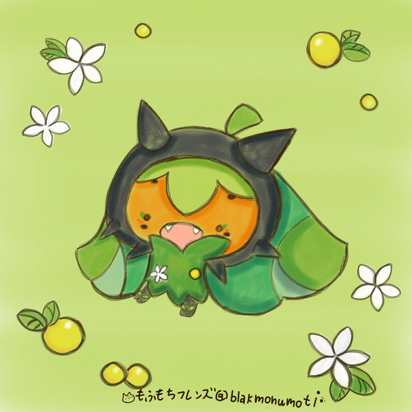 ポンカンの花