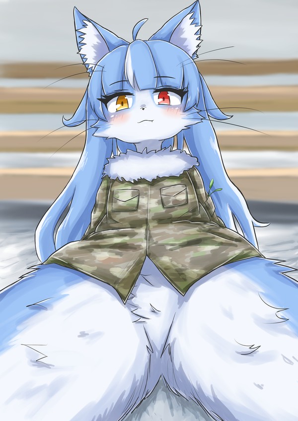おまねこ
