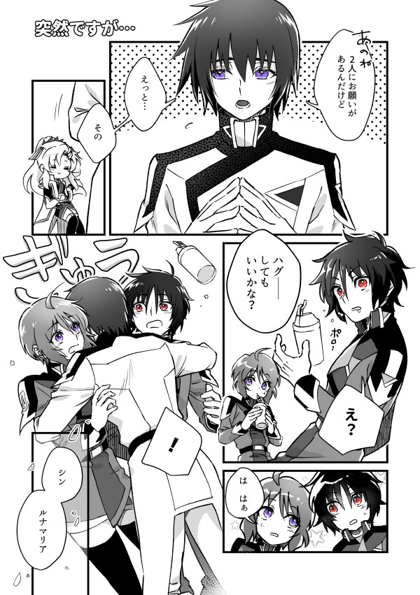【IF】種自由After