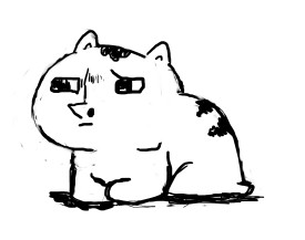 cat