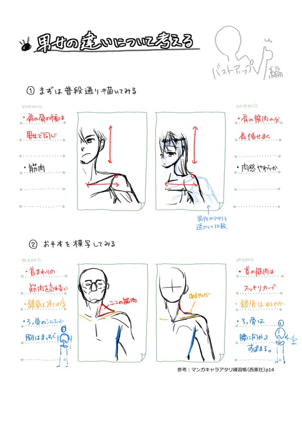 男女の違いについて考える