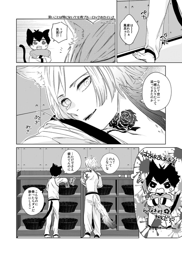 ねこねこのかいいさ