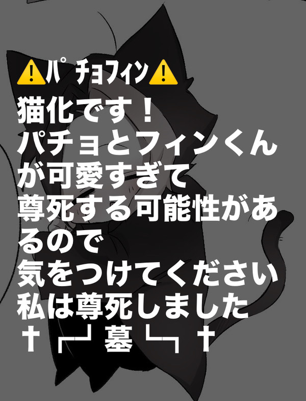 ⚠️ﾊﾟﾁｮﾌｨﾝ⚠️ ﾊﾟﾁｮ猫化あり