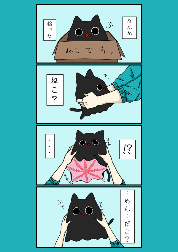 なんか、拾った