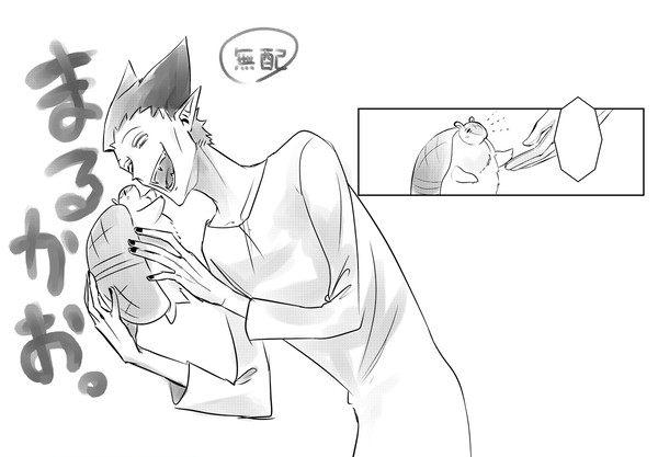 まるかお。