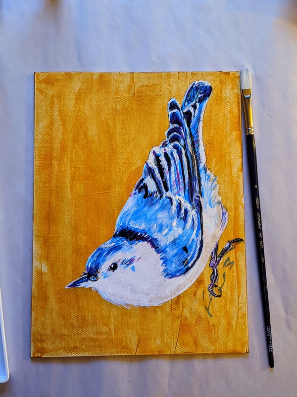 WB Nuthatch