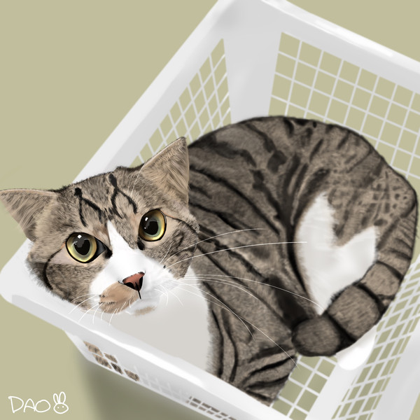 ご依頼絵 猫ちゃん