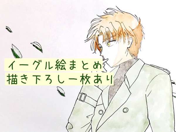 レイア絵まとめ(イーグル中心)