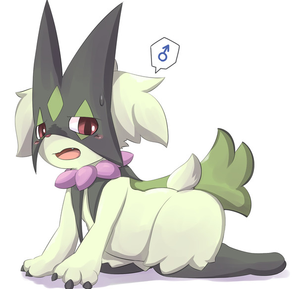 やっぱり♂