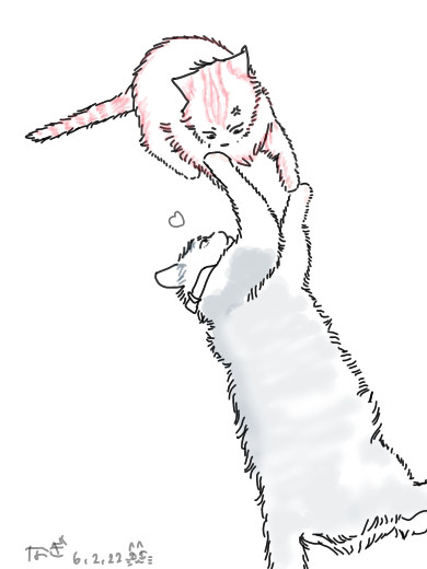 2/22の日🐈‍⬛🐈