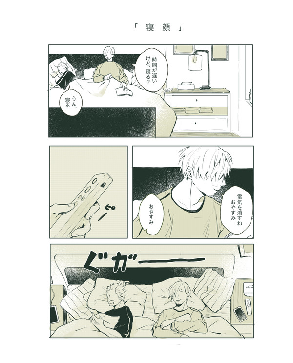 【サンゾロ】寝顔