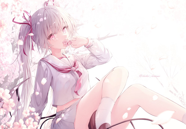 桜の季節