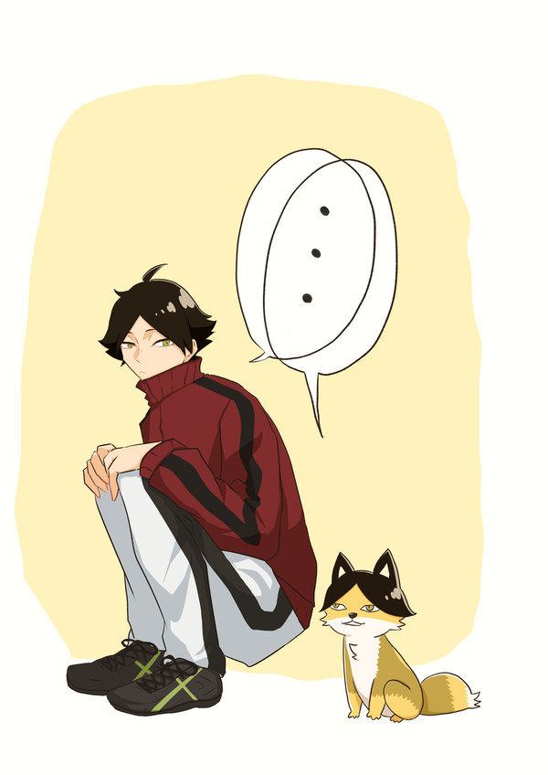 スナギツネ