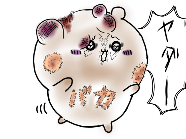 可愛がってあげる