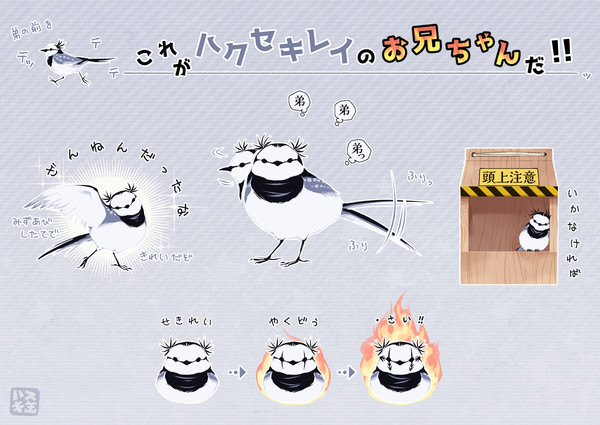 【擬鳥化】すっごい走るよ！お兄鳥