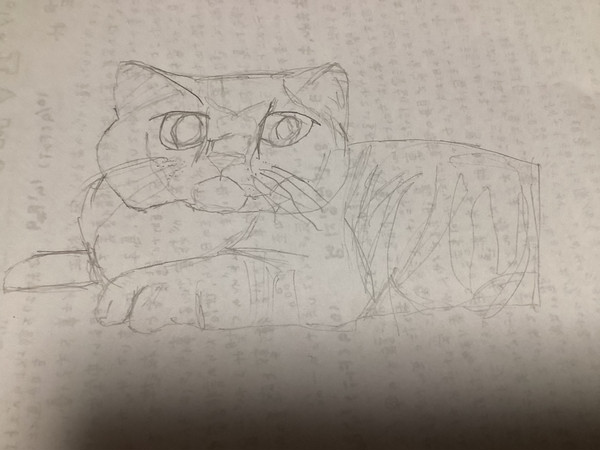 猫アナログ