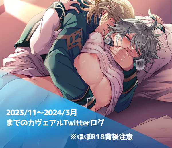 大体カヴェアルログ⑤