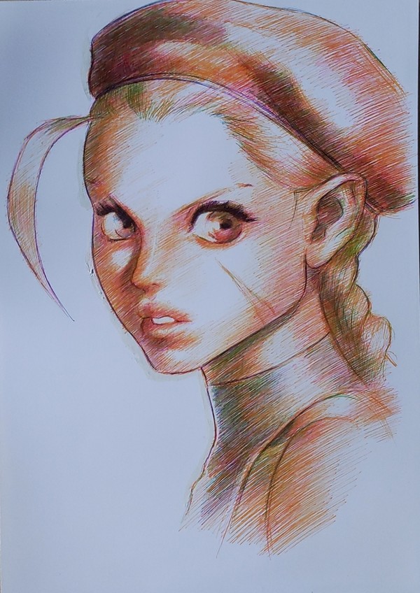 カラーボールペン下描き無し1発描き。