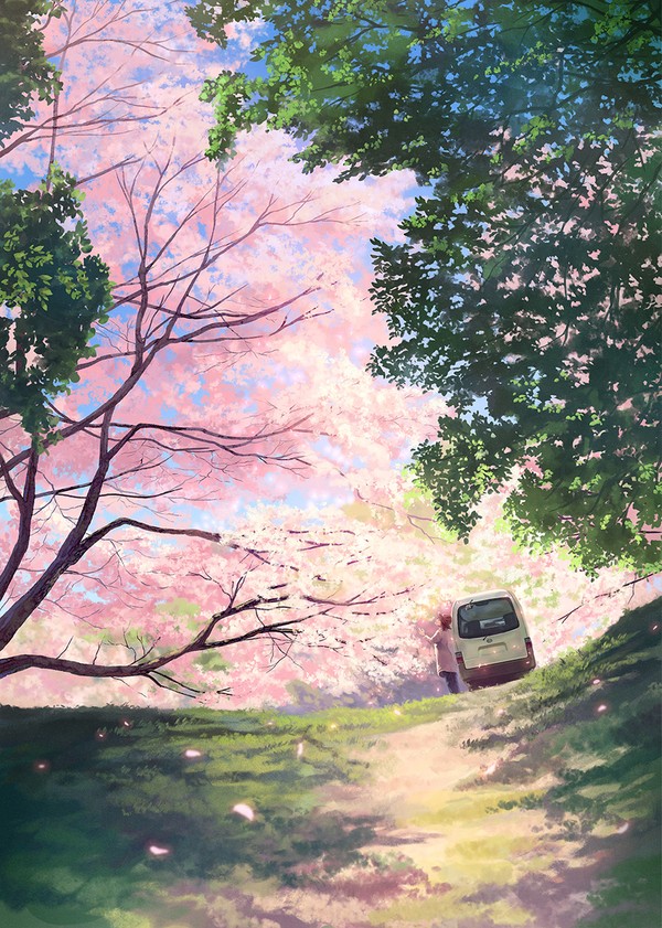 桜