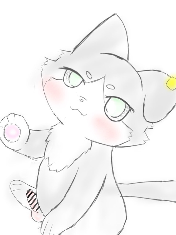 パック