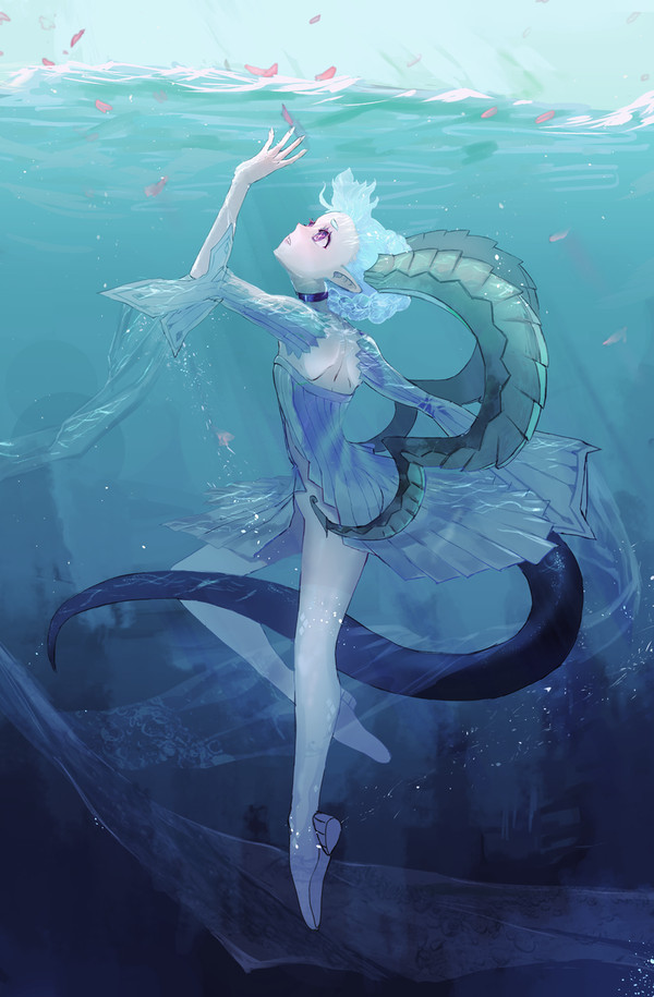 清水红花