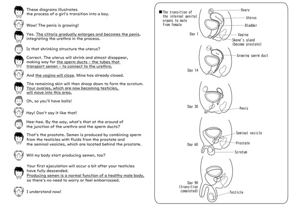 What happens in your lower body