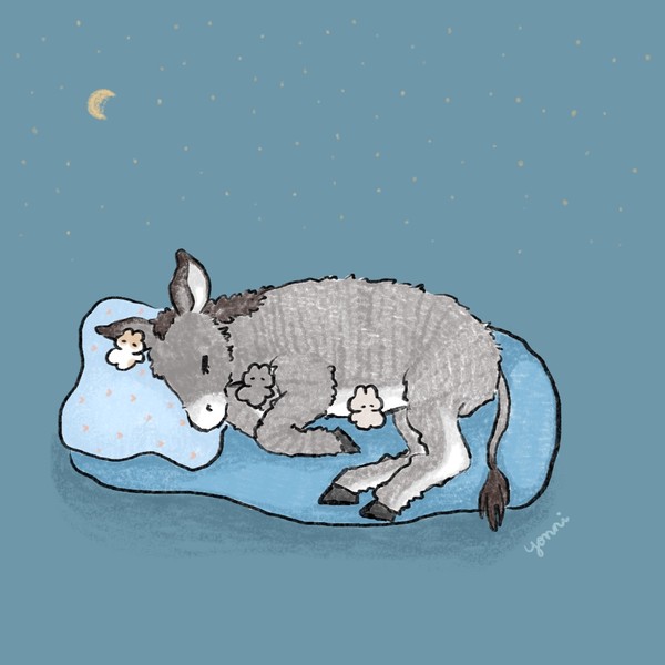世界ロバの日
